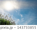 秋空の下で逆光に輝くススキと秋晴れの青空 143733855
