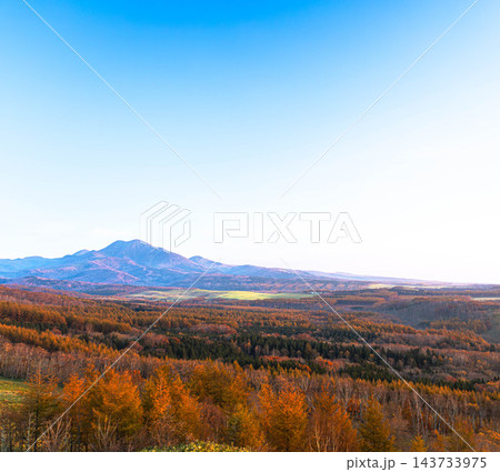 晩秋の北海道中標津町開陽台から見た紅葉した武佐岳の雄大な風景 晩秋の北海道中標津町開陽台から見た紅葉した武佐岳の雄大な風景 143733975