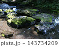 苔むした岩・清流 苔むした岩・清流 143734209