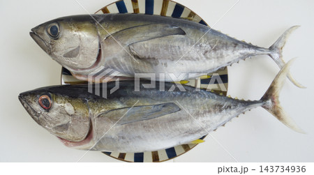 沖縄近海で釣れた新鮮なマグロと沖縄風の器 143734936