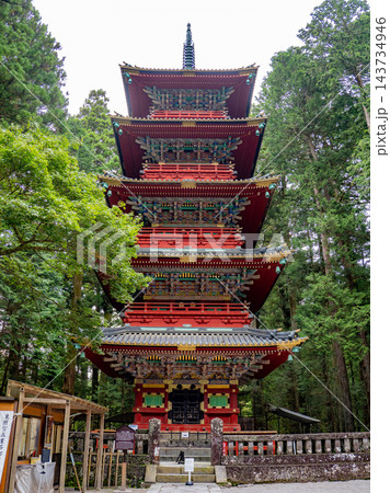 新緑に包まれた幻想的な日光東照宮の五重塔 新緑に包まれた幻想的な日光東照宮の五重塔 143734946