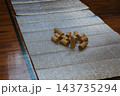 モルック体験会 143735294