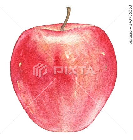 Watercolor red apple with a short stem. Fruit illustration for food blogs, recipe cards, farm market labels, autumn posters, kitchen decor, greeting cards and healthy eating themes. Watercolor red apple with a short stem. Fruit illustration for food blogs, recipe cards, farm market labels, autumn posters, kitchen decor, greeting cards and healthy eating themes. 143735353