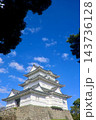 小田原城・天守閣（神奈川県・小田原市） 143736128