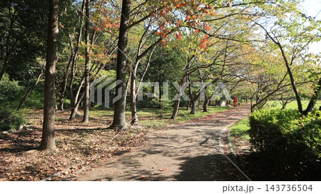 紅葉まえの駅から近くて大きい西神中央公園の秋 143736504