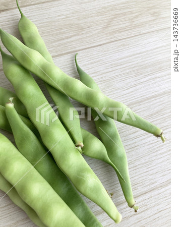 重ねられた新鮮なさやいんげん（インゲン豆）の自然・食材イメージ・旬の採れたて野菜や健康的な食生活 143736669