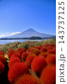 コキアと富士山・大石公園（山梨県・富士河口湖町） 143737125