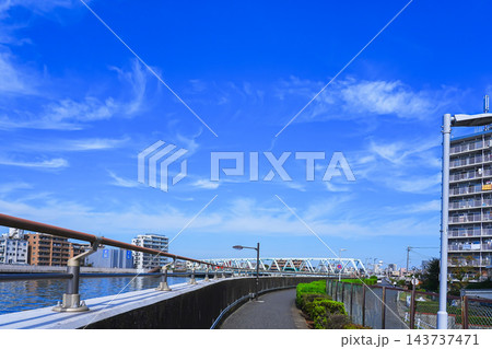 中川遊歩道から見た秋空の下の風景 中川遊歩道から見た秋空の下の風景 143737471
