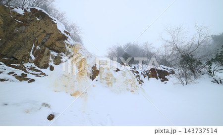 裏磐梯・磐梯山の氷瀑イエローフォール 霧の林と雪と黄色みを帯びた氷の岩肌 裏磐梯・磐梯山の氷瀑イエローフォール 霧の林と雪と黄色みを帯びた氷の岩肌 143737514