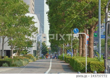 夏の都市イメージさせる「みなとみらい」のビルのある風景 夏の都市イメージさせる「みなとみらい」のビルのある風景 143737772