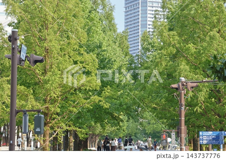 夏の都市イメージさせる「みなとみらい」のビルのある風景 143737776