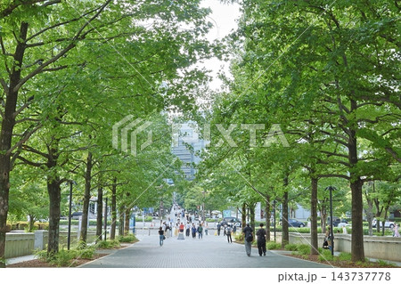 夏の都市イメージさせる「みなとみらい」のビルのある風景 143737778