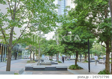 夏の都市イメージさせる「みなとみらい」のビルのある風景 143737790