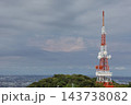 自然が残る湘南平展望台から見下ろす風景　平塚市 143738082