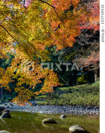 紅葉に彩られた小石川後楽園 143738416