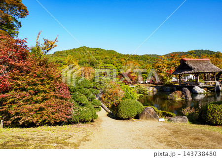 紅葉の忍野八海 紅葉の忍野八海 143738480