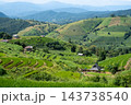 Green Rice Terraces and Mountain Landscape at Pa Bong Piang 143738540