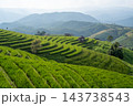 Green Rice Terraces with Mountain View at Pa Bong Piang 143738543
