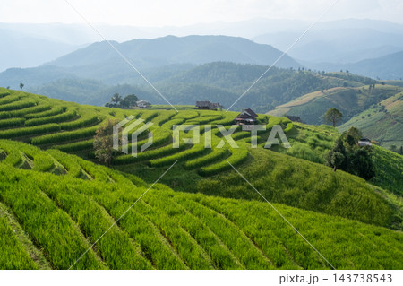 Green Rice Terraces with Mountain View at Pa Bong Piang 143738543