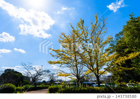 初秋の袖ケ浦公園 花と水辺の風景 初秋の袖ケ浦公園 花と水辺の風景 143738580