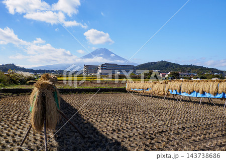 稲刈りが終わった田んぼと富士山 143738686