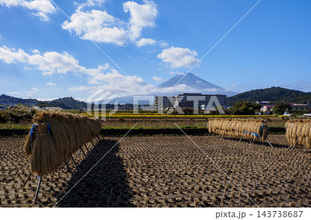 稲刈りが終わった田んぼと富士山 稲刈りが終わった田んぼと富士山 143738687