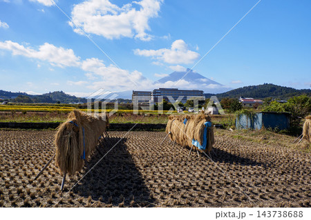 稲刈りが終わった田んぼと富士山 稲刈りが終わった田んぼと富士山 143738688