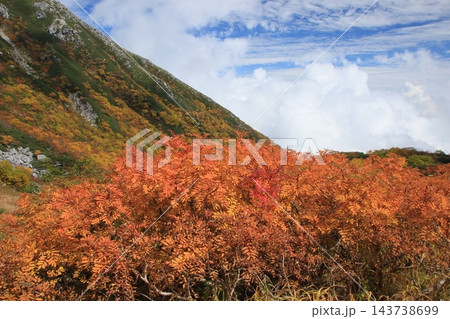 中央アルプス　紅葉の駒ヶ岳快晴　秋風景 143738699
