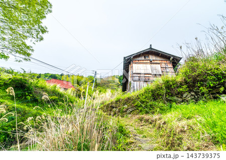 【重要伝統的建造物群保存地区】東祖谷山村落合　初夏の風景　里道（赤筋道）と石垣　徳島県三好市 143739375