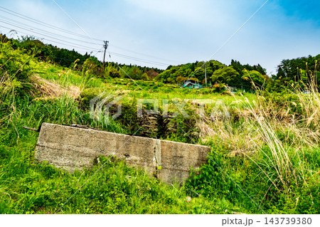 【重要伝統的建造物群保存地区】東祖谷山村落合　初夏の風景　石垣のある斜面　徳島県三好市 143739380