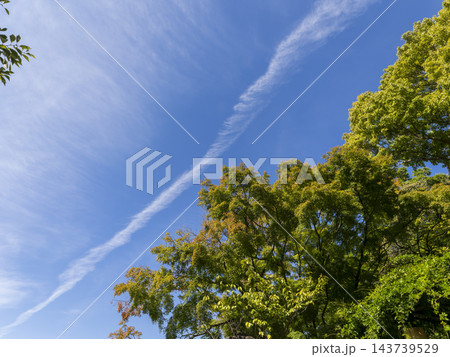 秋晴れの空と色付き始めた山の木々 秋晴れの空と色付き始めた山の木々 143739529