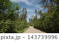 driving plate through forest in sunny summer day 143739996