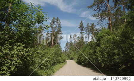 driving plate through forest in sunny summer day driving plate through forest in sunny summer day 143739996
