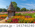 ハロウィン　畑のハロウィンパーティー　花菜ガーデン　【神奈川県平塚市】 143740240