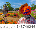 ハロウィン　畑のハロウィンパーティー　花菜ガーデン　【神奈川県平塚市】 143740246