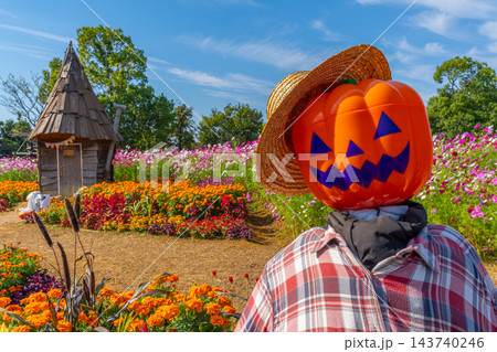 ハロウィン 畑のハロウィンパーティー 花菜ガーデン 【神奈川県平塚市】 ハロウィン 畑のハロウィンパーティー 花菜ガーデン 【神奈川県平塚市】 143740246