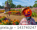 ハロウィン　畑のハロウィンパーティー　花菜ガーデン　【神奈川県平塚市】 143740247