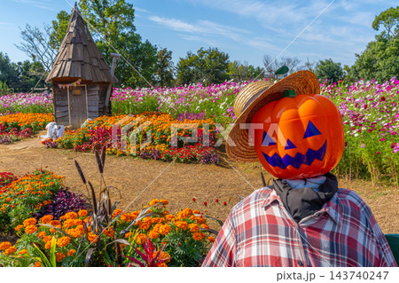 ハロウィン 畑のハロウィンパーティー 花菜ガーデン 【神奈川県平塚市】 ハロウィン 畑のハロウィンパーティー 花菜ガーデン 【神奈川県平塚市】 143740247