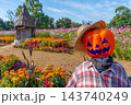 ハロウィン　畑のハロウィンパーティー　花菜ガーデン　【神奈川県平塚市】 143740249