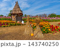 ハロウィン　畑のハロウィンパーティー　花菜ガーデン　【神奈川県平塚市】 143740250