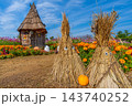 ハロウィン　畑のハロウィンパーティー　花菜ガーデン　【神奈川県平塚市】 143740252