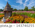 ハロウィン　畑のハロウィンパーティー　花菜ガーデン　【神奈川県平塚市】 143740255