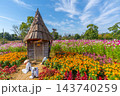 ハロウィン　畑のハロウィンパーティー　花菜ガーデン　【神奈川県平塚市】 143740259