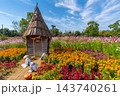 ハロウィン　畑のハロウィンパーティー　花菜ガーデン　【神奈川県平塚市】 143740261