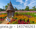 ハロウィン　畑のハロウィンパーティー　花菜ガーデン　【神奈川県平塚市】 143740263