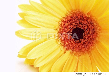 花素材 143740487
