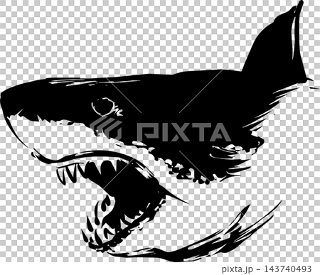 力強く吠えるサメの横顔の墨絵イラスト チームロゴ・和風素材 力強く吠えるサメの横顔の墨絵イラスト チームロゴ・和風素材 143740493