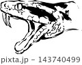 力強く吠える蛇の横顔の墨絵イラスト チームロゴ・和風素材 143740499