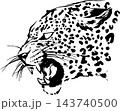 力強く吠える豹の横顔の墨絵イラスト チームロゴ・和風素材 143740500