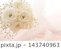 白いトルコキキョウの花束　布背景 143740963